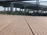 大沙河休闲段-IMG_0337