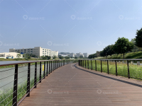 大沙河休闲段-IMG_0345