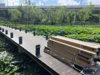 大连古莲湿地公园结构-微信图片_202304241534155